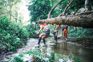 BIB: 
                            <button type="button" onclick="openModal(25442679)" class="btn btn-primary btn-sm float-right btn-popup" data-toggle="modal" data-target=".modal-high-quality">
                        <i class="fas fa-shopping-cart"></i> Add to Cart
                    </button>
                                            <button type="button" onclick="isThisMe(25442679, true)" class="btn btn-success btn-sm float-right btn-popup btn-isme hidden" data-toggle="tooltip" data-placement="bottom" title="นี่คือรูปของคุณใช่ไหม คลิกที่นี่เพื่อเอาเข้าอัลบั้ม">
                        <i class="fas fa-plus"></i> Add to album
                    </button>
                    <button type="button" onclick="isThisMe(25442679, false)" class="btn btn-warning btn-sm float-right btn-popup btn-isnotme hidden">
                        <i class="fas fa-ban"></i> Remove from album
                    </button>